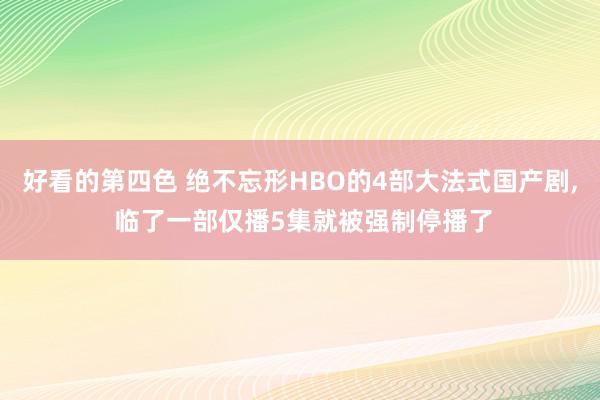 好看的第四色 绝不忘形HBO的4部大法式国产剧, 临了一部仅播5集就被强制停播了