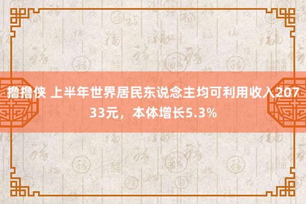 撸撸侠 上半年世界居民东说念主均可利用收入20733元，本体增长5.3%