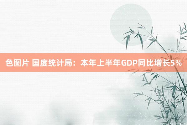 色图片 国度统计局：本年上半年GDP同比增长5%