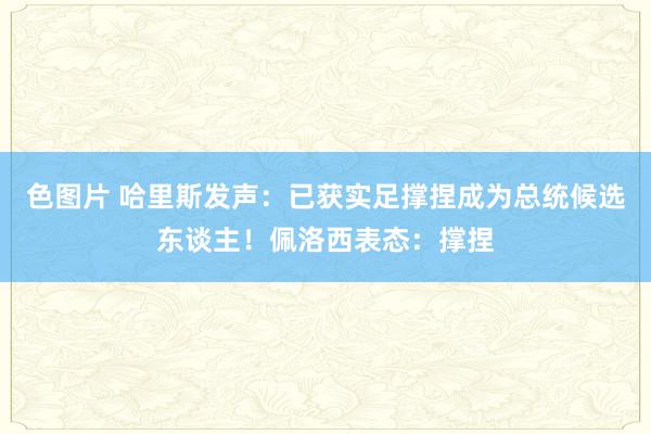 色图片 哈里斯发声：已获实足撑捏成为总统候选东谈主！佩洛西表态：撑捏