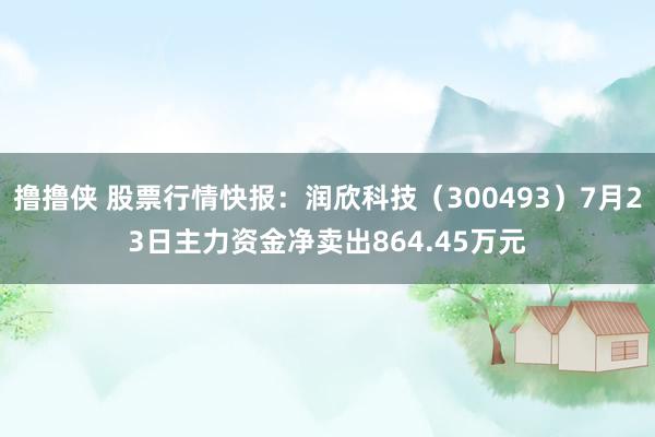 撸撸侠 股票行情快报：润欣科技（300493）7月23日主力资金净卖出864.45万元