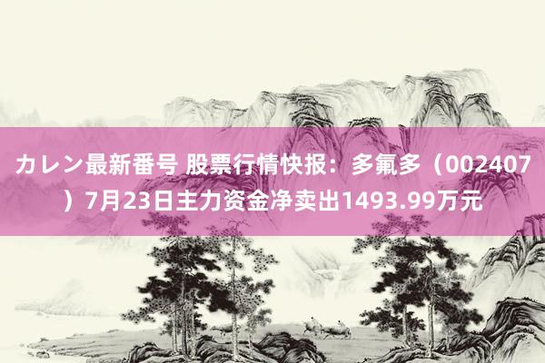 カレン最新番号 股票行情快报：多氟多（002407）7月23日主力资金净卖出1493.99万元