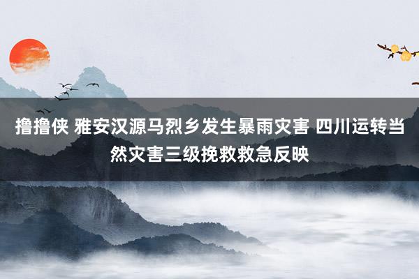 撸撸侠 雅安汉源马烈乡发生暴雨灾害 四川运转当然灾害三级挽救救急反映