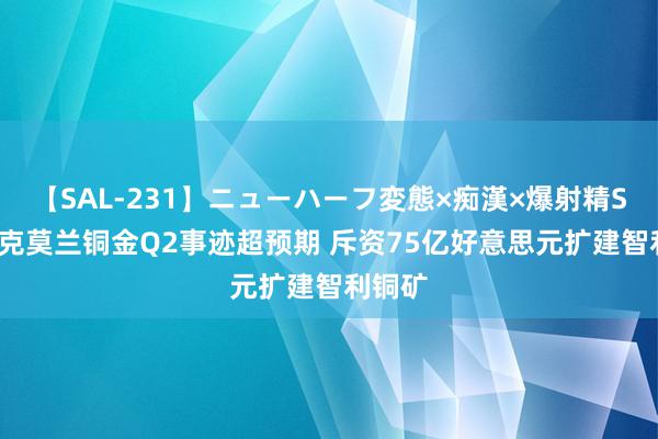 【SAL-231】ニューハーフ変態×痴漢×爆射精SEX 麦克莫兰铜金Q2事迹超预期 斥资75亿好意思元扩建智利铜矿