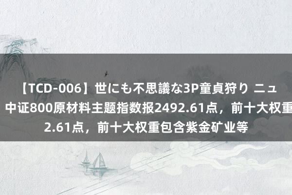 【TCD-006】世にも不思議な3P童貞狩り ニューハーフ×女×男 中证800原材料主题指数报2492.61点，前十大权重包含紫金矿业等