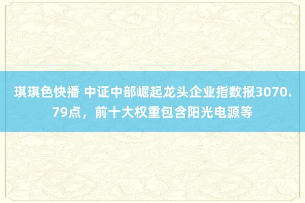 琪琪色快播 中证中部崛起龙头企业指数报3070.79点，前十大权重包含阳光电源等