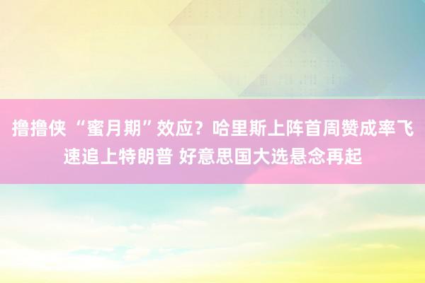 撸撸侠 “蜜月期”效应？哈里斯上阵首周赞成率飞速追上特朗普 好意思国大选悬念再起