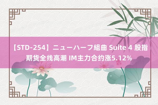 【STD-254】ニューハーフ組曲 Suite 4 股指期货全线高潮 IM主力合约涨5.12%