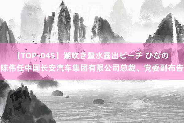 【TOP-045】潮吹き聖水露出ビーチ ひなの 陈伟任中国长安汽车集团有限公司总裁、党委副布告