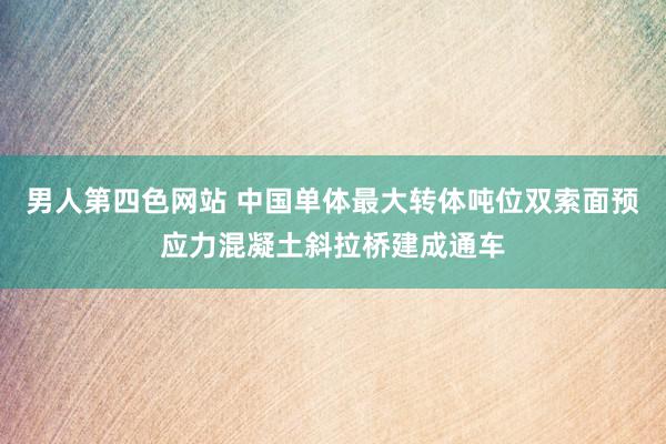 男人第四色网站 中国单体最大转体吨位双索面预应力混凝土斜拉桥建成通车