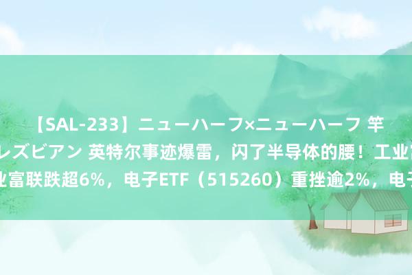 【SAL-233】ニューハーフ×ニューハーフ 竿有り同性愛まるごとNHレズビアン 英特尔事迹爆雷，闪了半导体的腰！工业富联跌超6%，电子ETF（515260）重挫逾2%，电子三大亮点或令资金抢筹