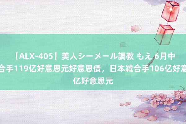 【ALX-405】美人シーメール調教 もえ 6月中国增合手119亿好意思元好意思债，日本减合手106亿好意思元