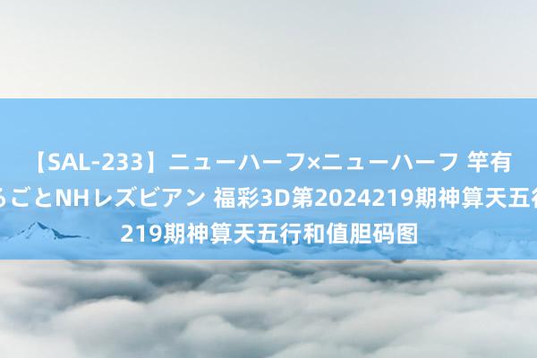 【SAL-233】ニューハーフ×ニューハーフ 竿有り同性愛まるごとNHレズビアン 福彩3D第2024219期神算天五行和值胆码图