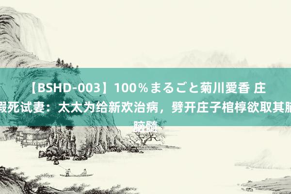 【BSHD-003】100％まるごと菊川愛香 庄子假死试妻：太太为给新欢治病，劈开庄子棺椁欲取其脑髓