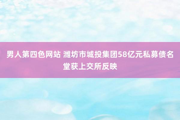 男人第四色网站 潍坊市城投集团58亿元私募债名堂获上交所反映