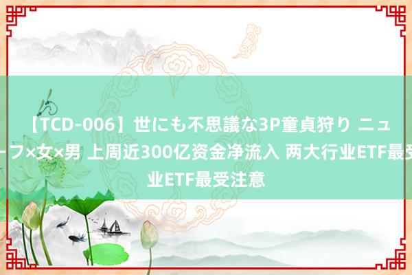 【TCD-006】世にも不思議な3P童貞狩り ニューハーフ×女×男 上周近300亿资金净流入 两大行业ETF最受注意