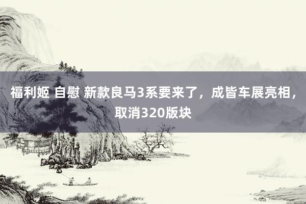 福利姬 自慰 新款良马3系要来了，成皆车展亮相，取消320版块