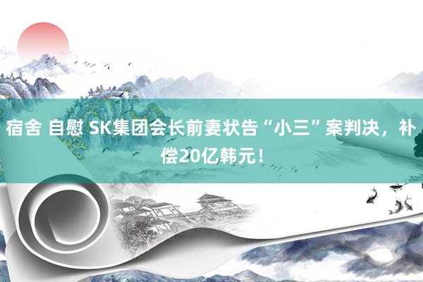 宿舍 自慰 SK集团会长前妻状告“小三”案判决，补偿20亿韩元！