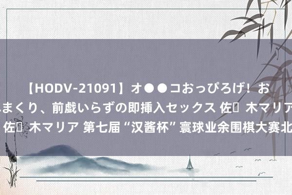 【HODV-21091】オ●●コおっぴろげ！お姉ちゃん 四六時中濡れまくり、前戯いらずの即挿入セックス 佐々木マリア 第七届“汉酱杯”寰球业余围棋大赛北部赛区规程